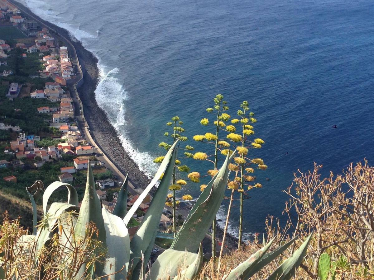 Blooming Botanic Houses Estreito Da Calheta Экстерьер фото