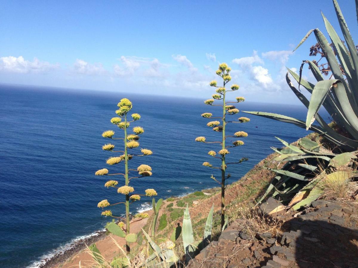 Blooming Botanic Houses Estreito Da Calheta Экстерьер фото