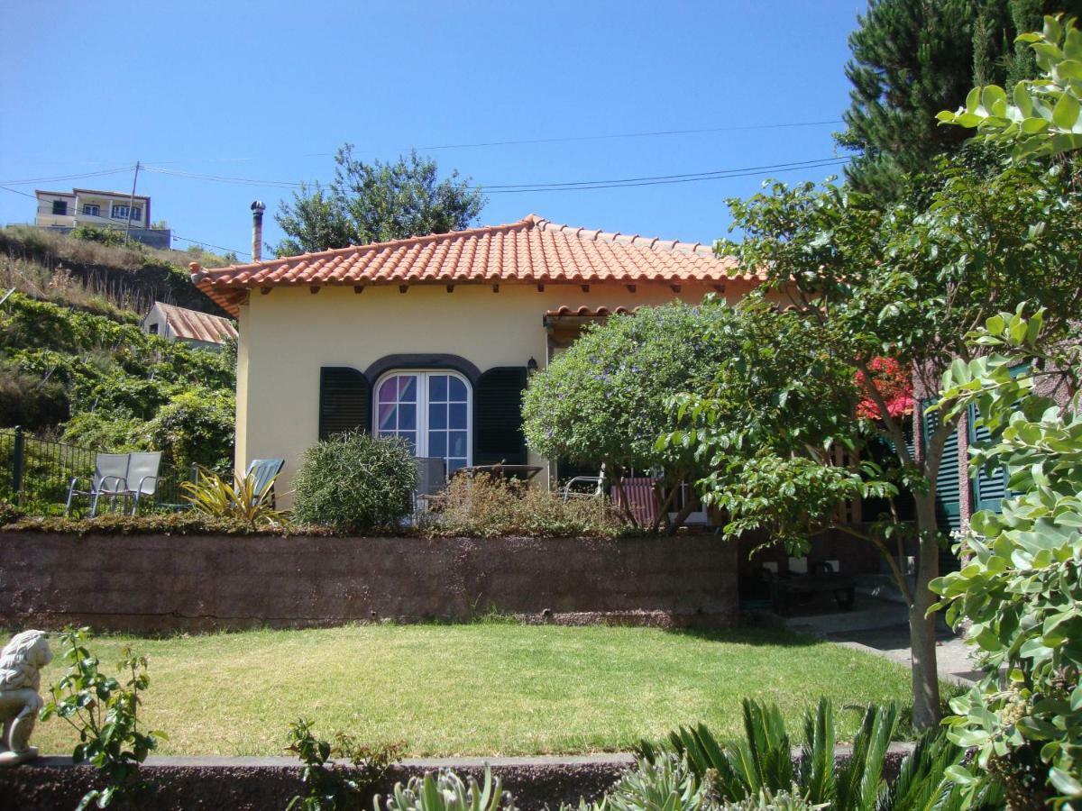 Blooming Botanic Houses Estreito Da Calheta Экстерьер фото
