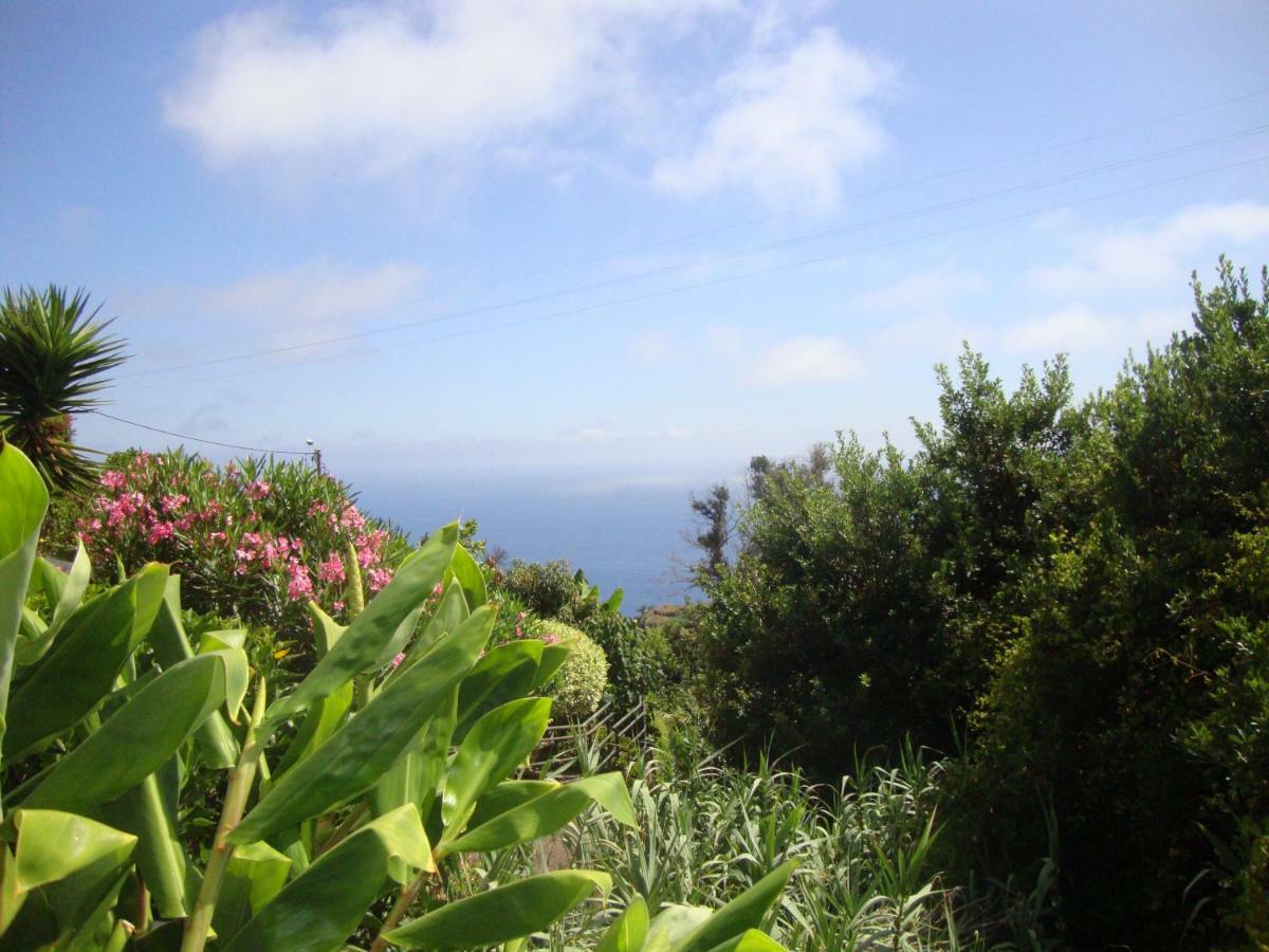 Blooming Botanic Houses Estreito Da Calheta Экстерьер фото