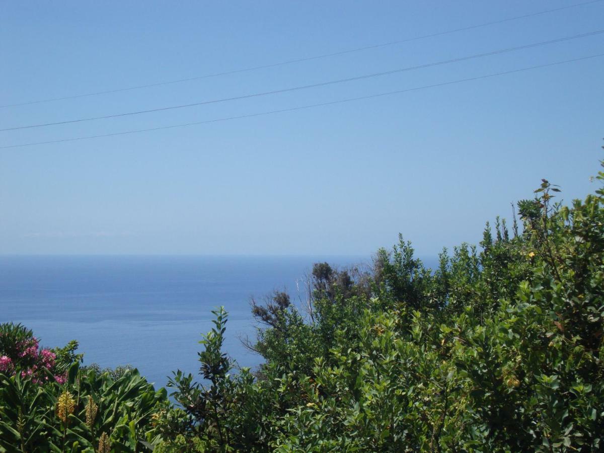 Blooming Botanic Houses Estreito Da Calheta Экстерьер фото