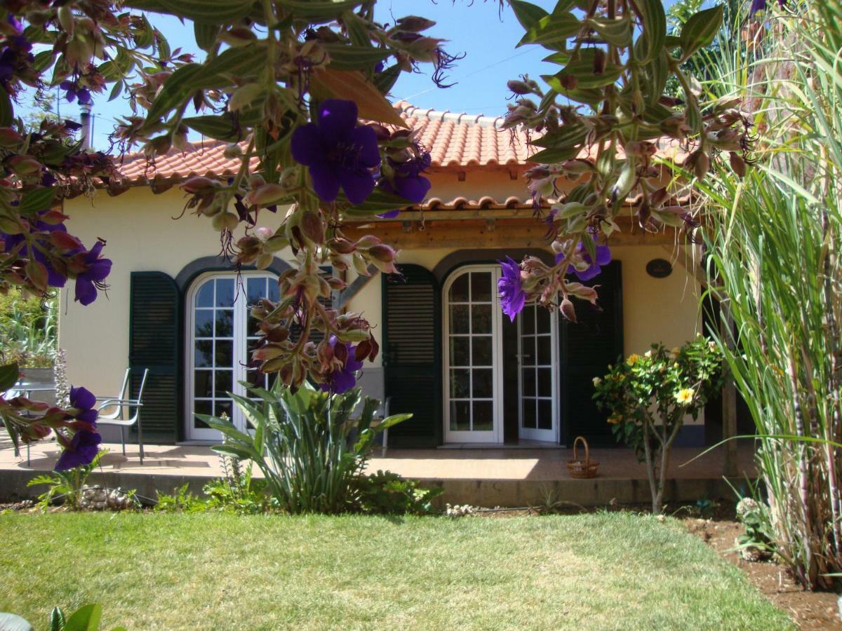 Blooming Botanic Houses Estreito Da Calheta Экстерьер фото